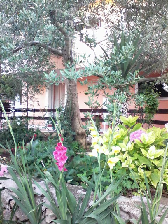 Apartments Vendi Sibenik Bagian luar foto