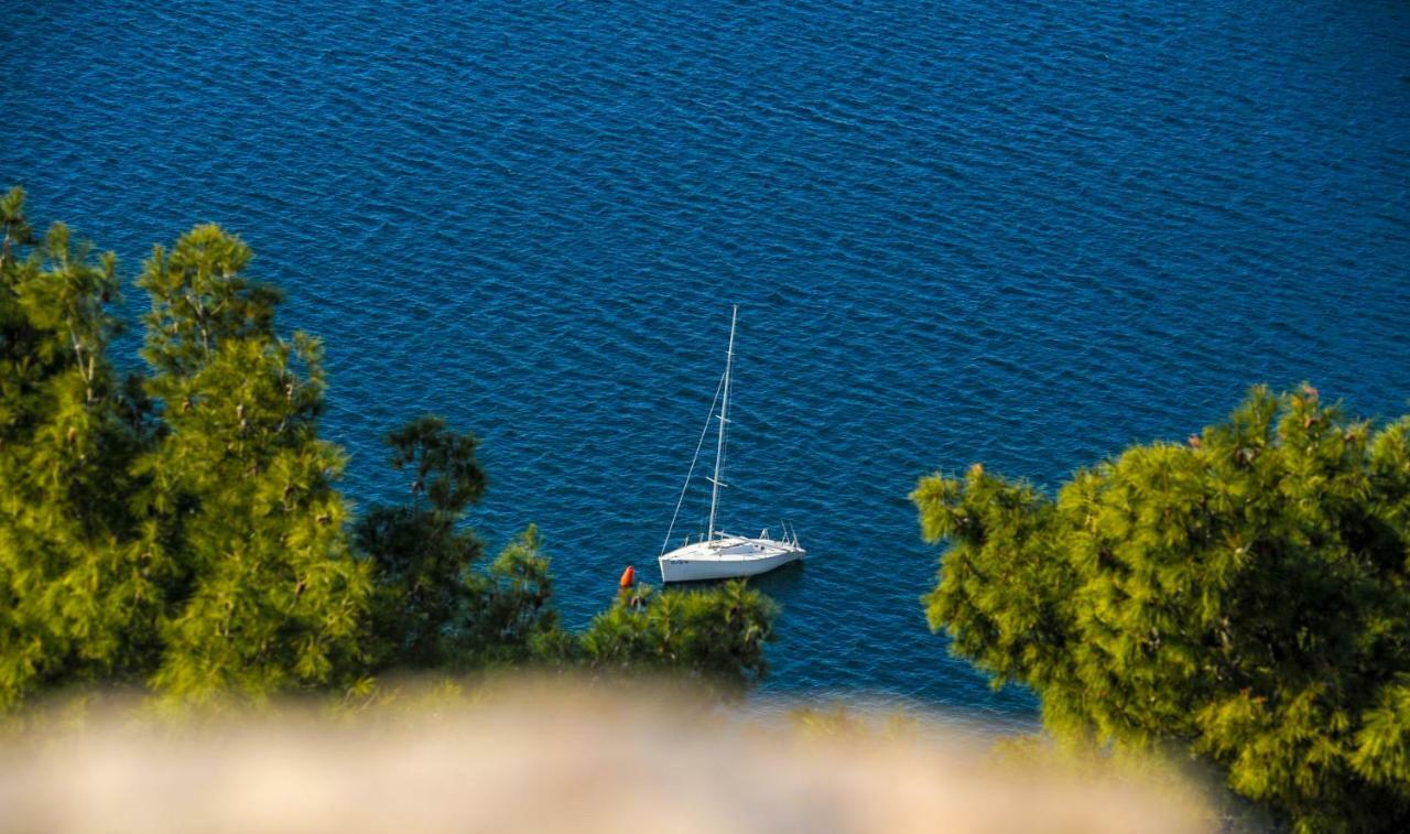 Apartments Vendi Sibenik Bagian luar foto